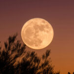 Volle maan mythes