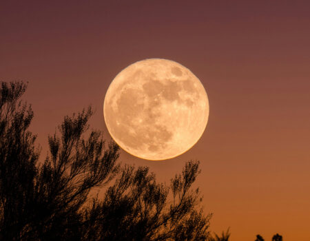 Volle maan mythes